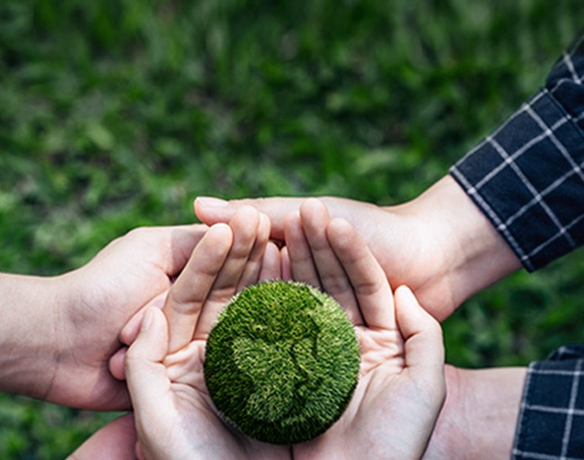 Hände mehrerer Personen tragen einen aus Gras angefertigten Globus, um den Planeten gemeinsam durch diverse nachhaltige, umweltfreundliche Maßnahmen zu schützen.